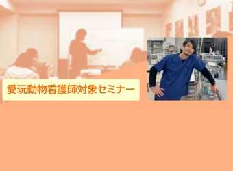 愛玩動物看護師対象オンラインセミナー（24年度VNセミナー2）「緊急疾患・救急対応」科目