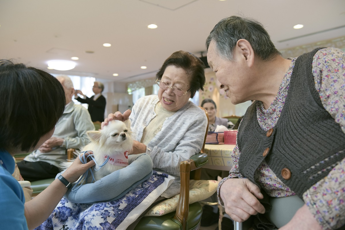 寄付をする 支援する アニマルセラピーについて 知りたい 支援したい 公益社団法人 日本動物病院協会